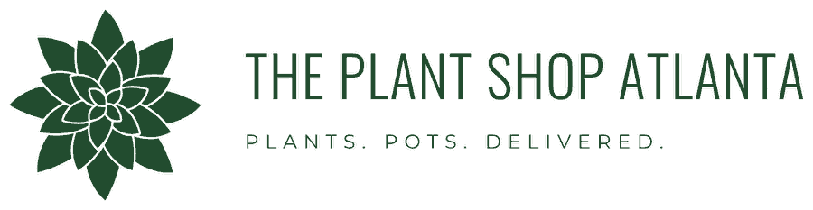 The Plant Shop Atlanta